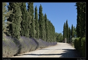 Chianti country